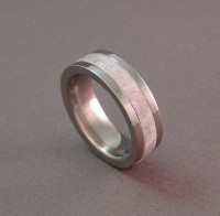 Photo of Joe's Titanium and Antler Wedding Ring